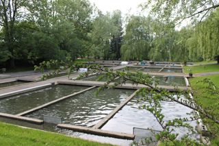 IMG_1287