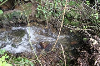 IMG_1295