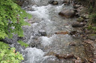deva_001