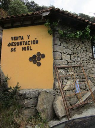 La carretera hacia Palencia Miel en obras Queseria Lebanes Cabezon de Liebana