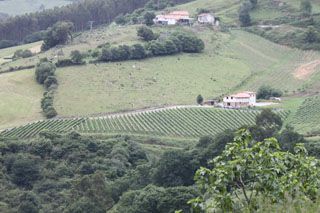 nates_003