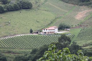 nates_005