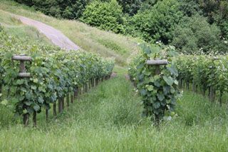 nates_008