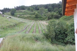 nates_012
