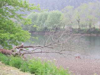 pena_cortes_003