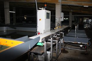 rodecan_022