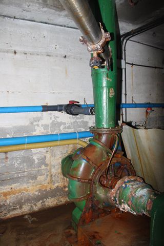 rodecan_033
