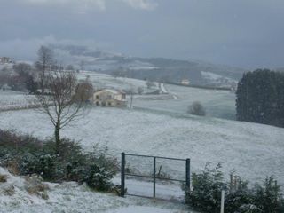 sel daiz nevado 001