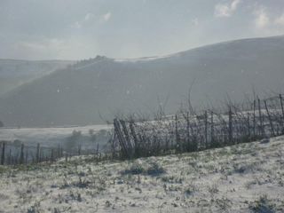 sel daiz nevado 002