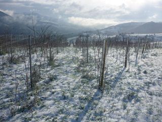 sel daiz nevado 004