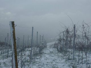 sel daiz nevado 008