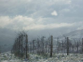 sel daiz nevado 010