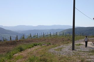 seldaiz_007
