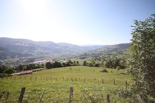 seldaiz_008