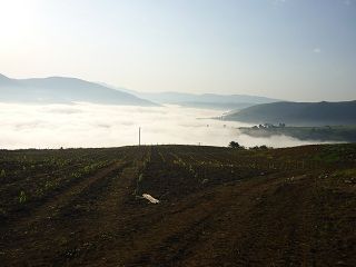 seldaiz_01_001