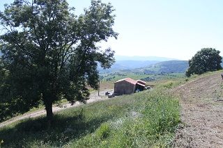 seldaiz_034