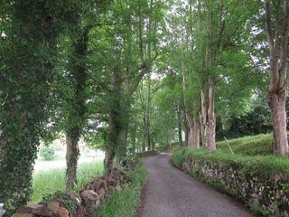 semnorio_pas_004