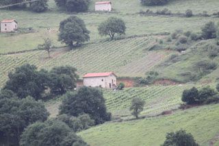 semnorio_pas_006
