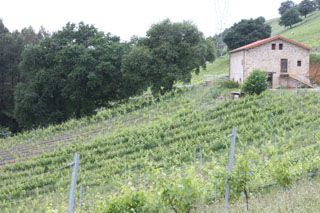 semnorio_pas_008