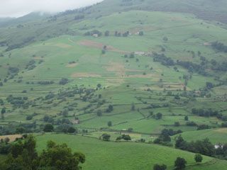 semnorio_pas_009