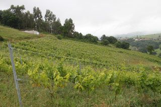 semnorio_pas_014