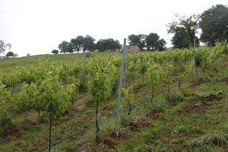 semnorio_pas_020