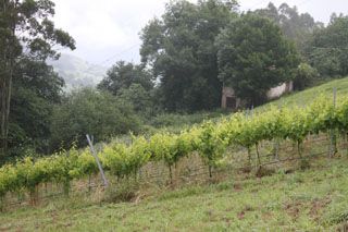semnorio_pas_023