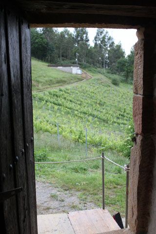 semnorio_pas_047