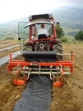 semnorio_pas_049_1