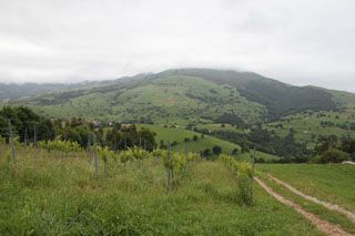 semnorio_pas_054