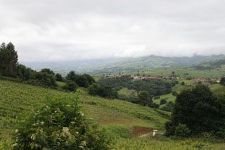 semnorio_pas_056