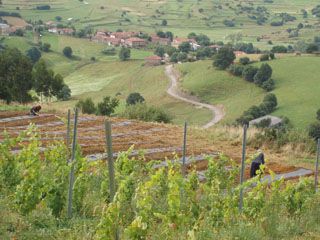 semnorio_pas_059