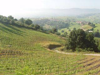 semnorio_pas_060