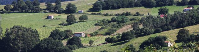 senorio_pas_ok_640
