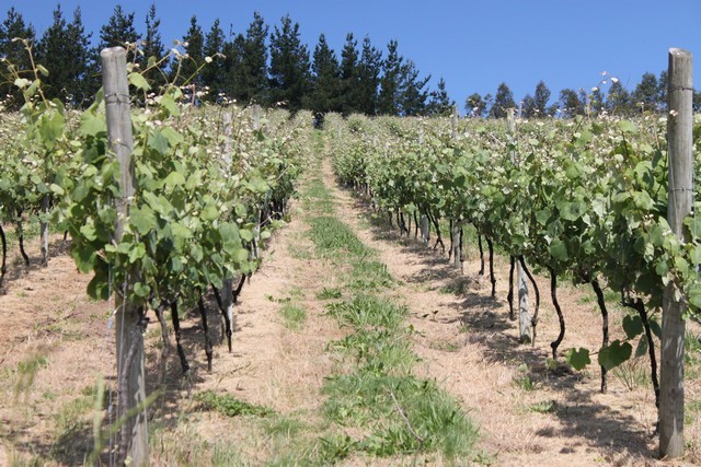 2011 06 casona micaela 017