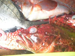 DSCN0710
