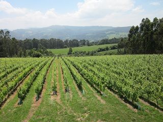 bodega_vida_006