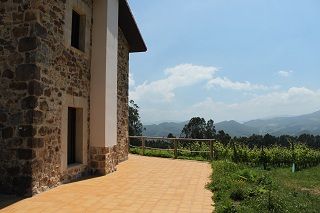 bodega_vida_009