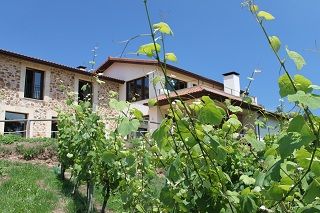 bodega_vida_030