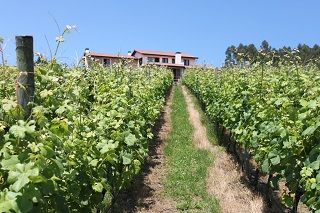bodega_vida_034