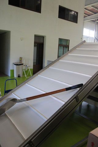tanis_010