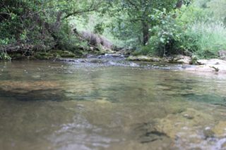 1_P1000182