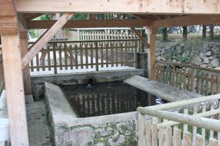 1_P1000184