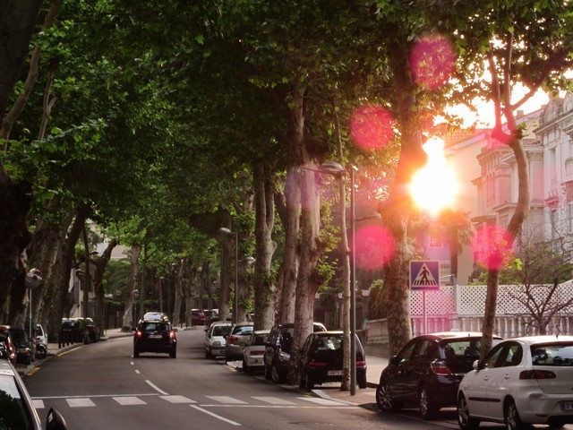 2011 03 branuca bejes 001
