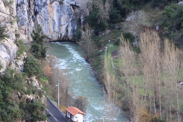 2011 03 branuca bejes 003