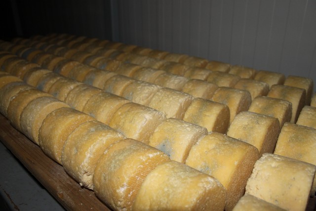 2011 03 branuca bejes 007