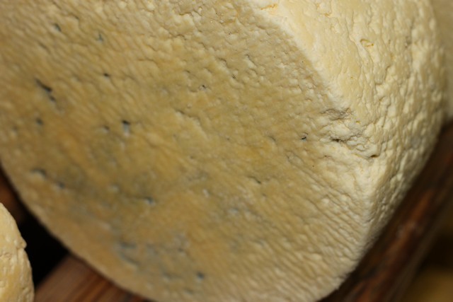 2011 03 branuca bejes 007