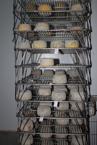 2011_penalon_300_019