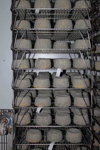 2011_penalon_300_020