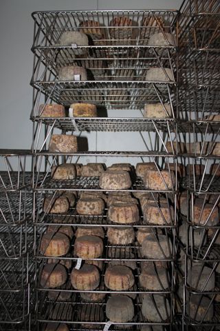 2011_penalon_300_021